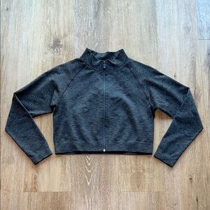 Alphalete Amplify Jacket Powder Grey L